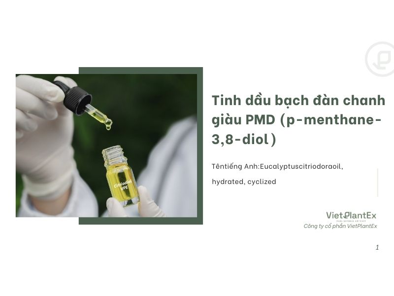Tinh dầu bạch đàn chanh giàu PMD