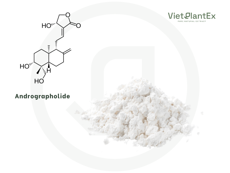 Andrographolide vietplantex 2