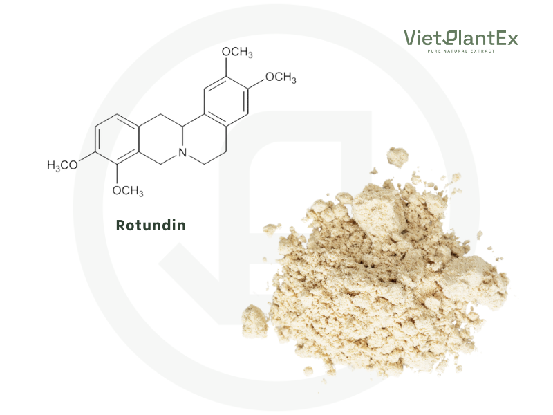 Rotundin vietplantex 2