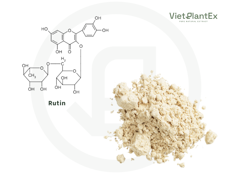 Rutin vietplantex 2