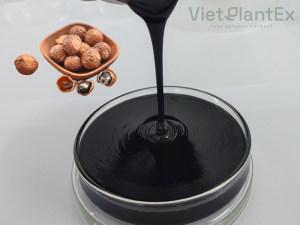 Thiet ke chua co ten 2