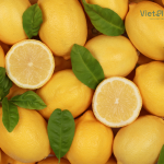 Lemon Peel Essential Oil - Image 2