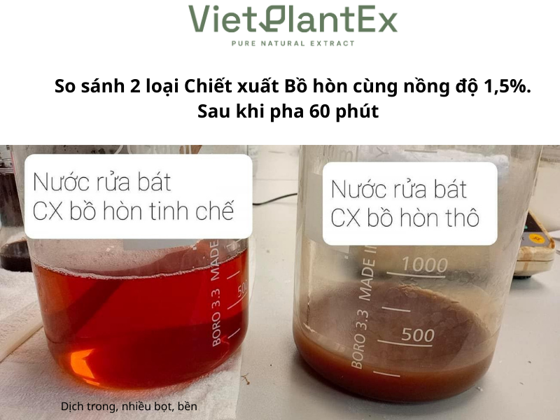 Chiết xuất bồ hòn