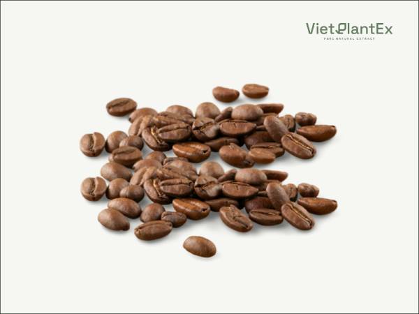 dau cafe arabica vietplantex 2