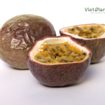 Passiflora Edulis Seed Oil - Image 4