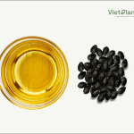 Passiflora Edulis Seed Oil