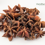 Anise Oil - Image 4