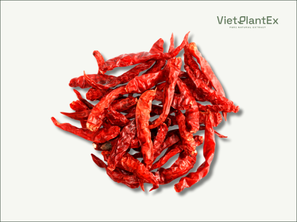 dau ot vietplantex 2