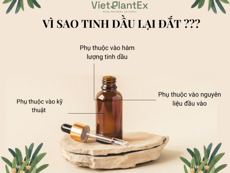 Giá tinh dầu thiên nhiên