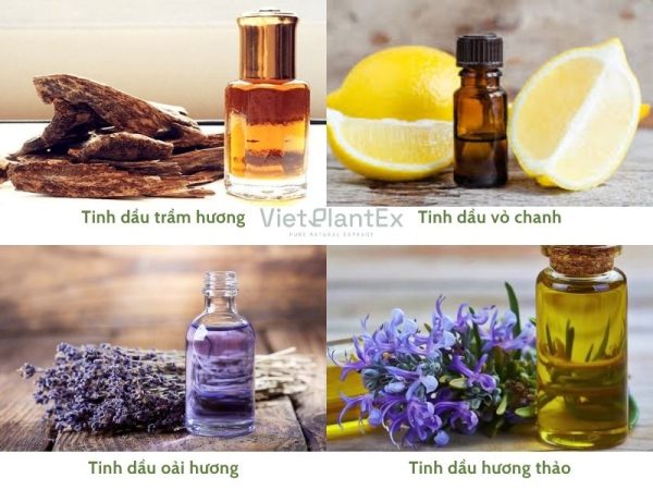 tinh dầu chống lão hóa