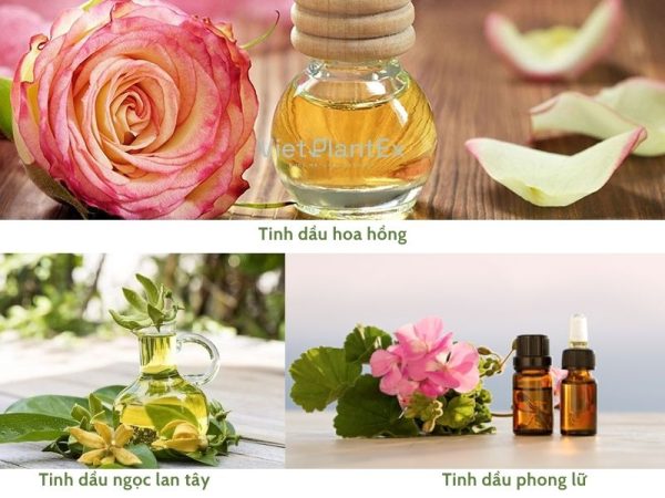 tinh dầu chống lão hóa