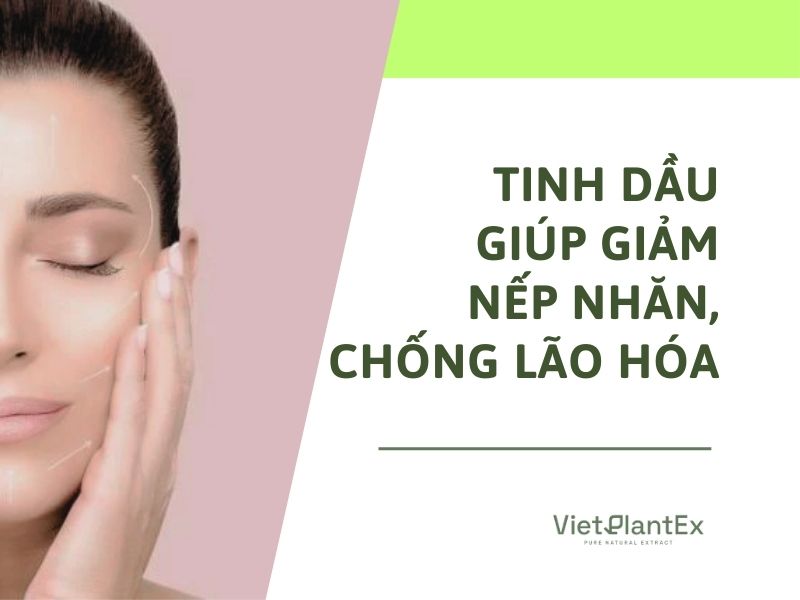 Tinh dầu chống lão hóa