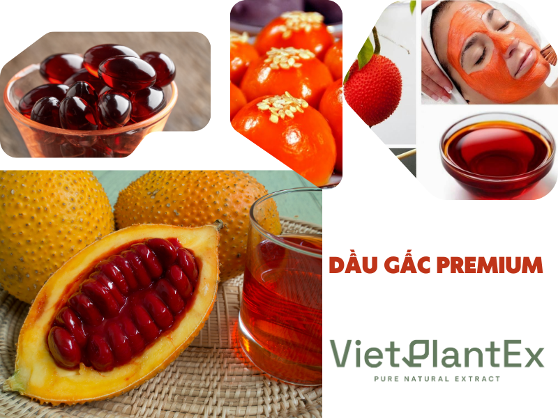 Dầu gấc premium