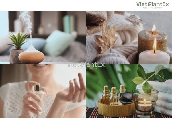 Tinh dầu hỗ trợ hô hấp