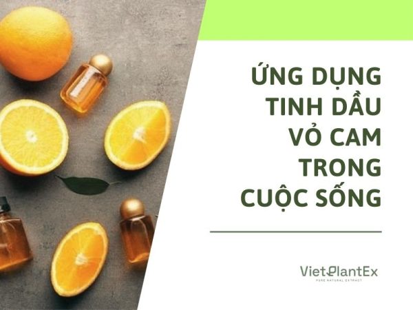 Tác dụng của tinh dầu vỏ cam