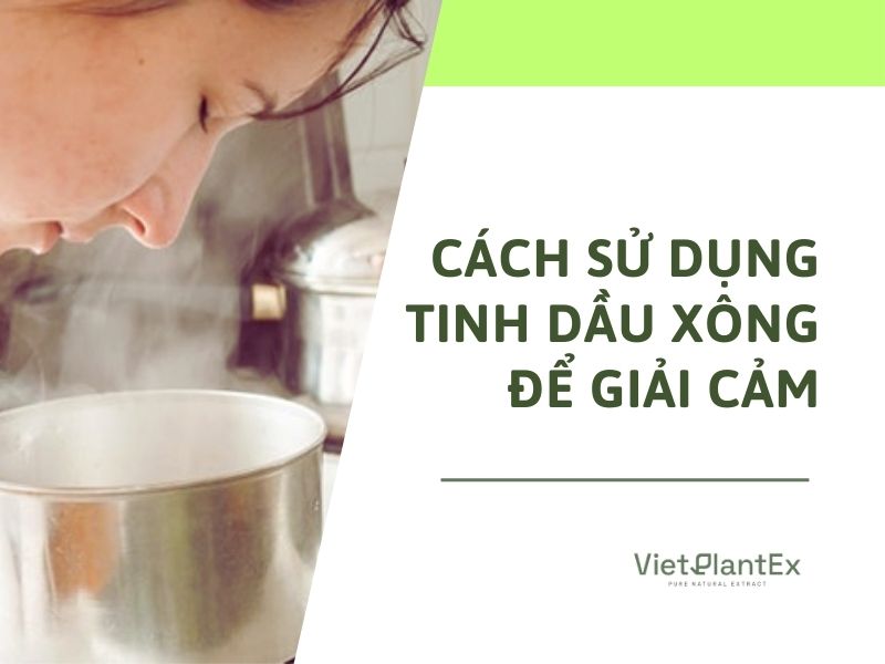 Tinh dầu giải cảm