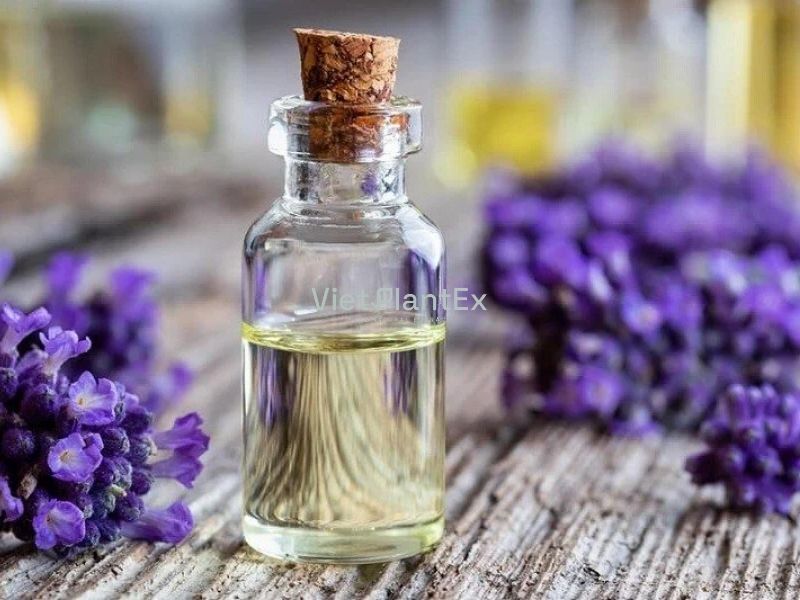 NHANG MUỖI CÓ HẠI CHO TRẺ SƠ SINH KHÔNG VÀ LƯU Ý KHI SỬ DỤNG CHO BÉ