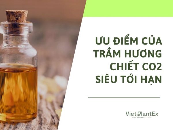 Tinh dầu trầm hương nguyên chất