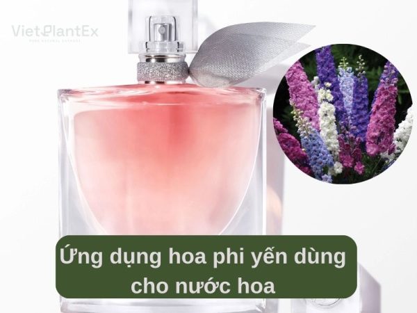 Ý nghĩa của hoa phi yến