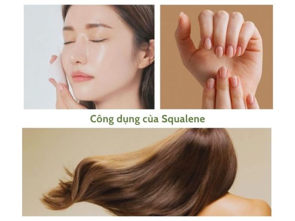 Công dụng của squalene oil