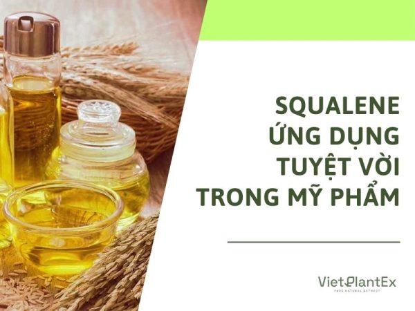 Squalene Là Gì? Squalene Oil Trong Ngành Mỹ  Phẩm