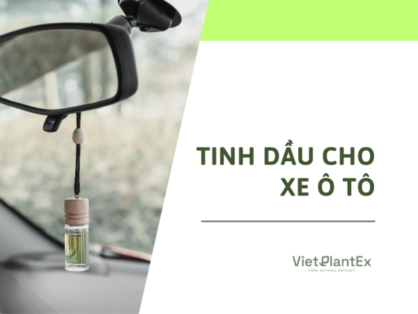 Tinh Dầu Treo Xe Ô Tô