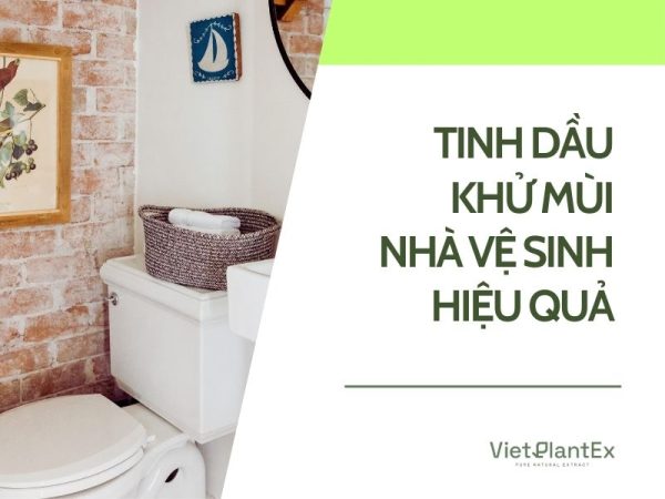 Tinh Dầu Thơm Nhà Vệ Sinh Hiệu Quả Nhất