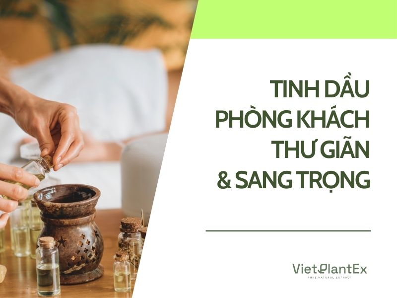 tinh dau thom phong khach