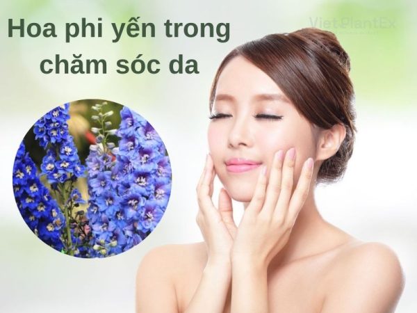 Ý nghĩa của hoa phi yến