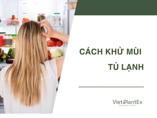 Cách khử mùi tủ lạnh