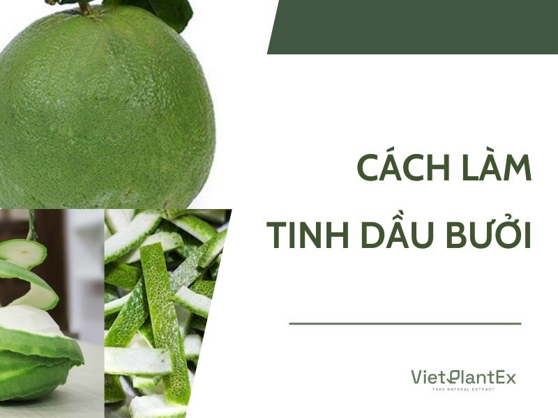 Cách làm tinh dầu bưởi tại nhà