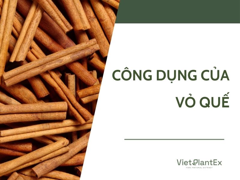 Công dụng của vỏ quế