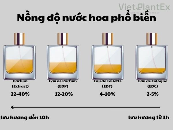 Nồng độ tinh dầu trong nước hoa