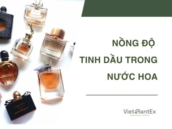 Nồng độ tinh dầu trong nước hoa