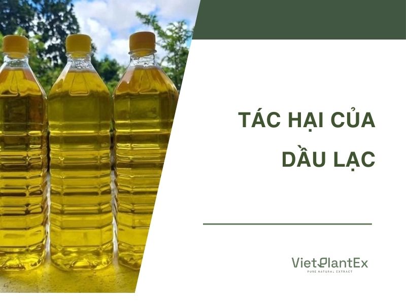 Tác hại của dầu lạc