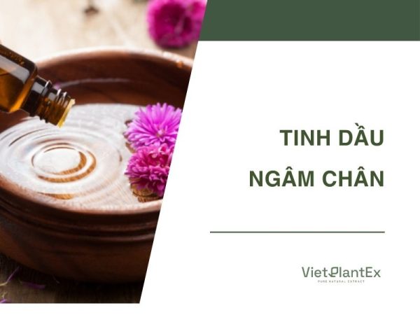 Tinh dầu ngâm chân