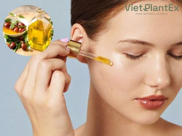 Dầu jojoba dưỡng da mặt