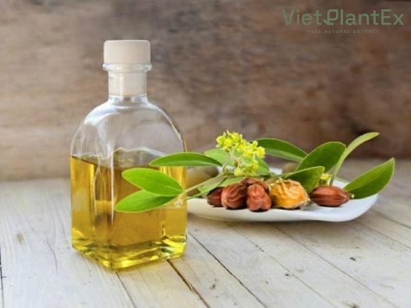 Dầu jojoba dưỡng da mặt