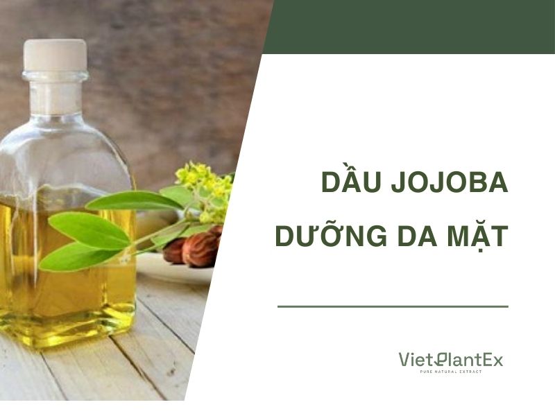 Dầu jojoba dưỡng da mặt