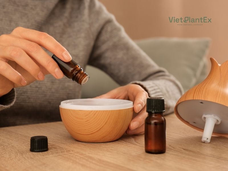 Các loại tinh dầu nguyên chất được chiết xuất từ thảo mộc