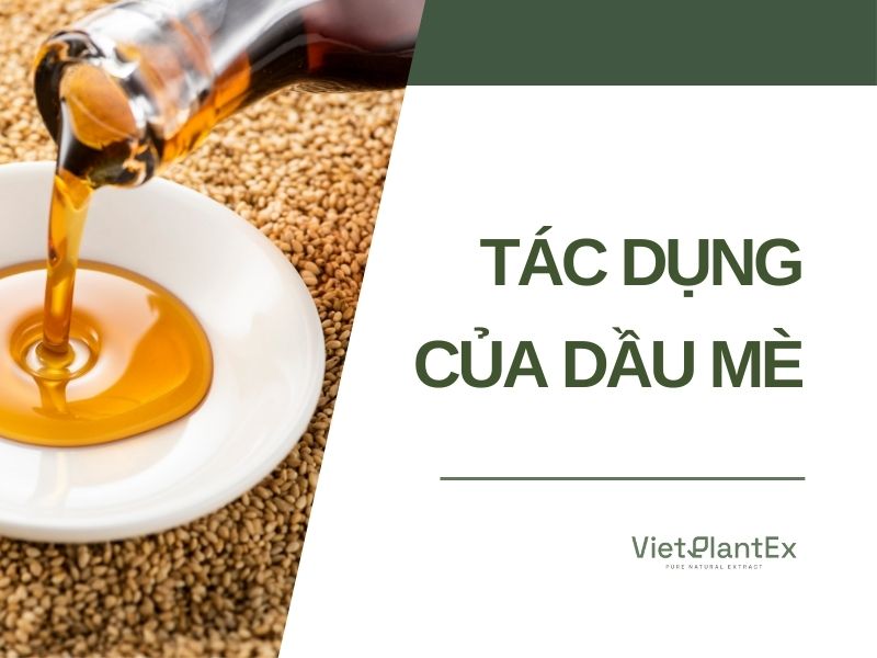 tac dung cua dau me