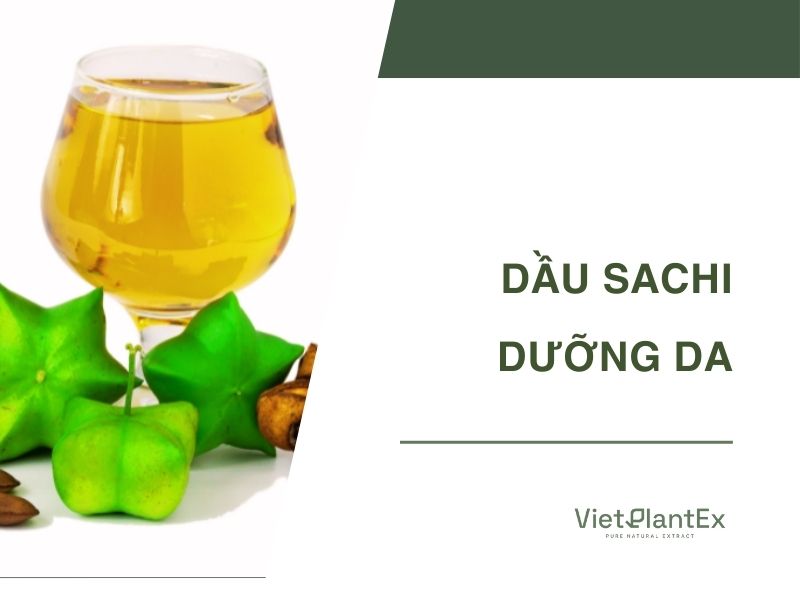 Dau sachi duong da