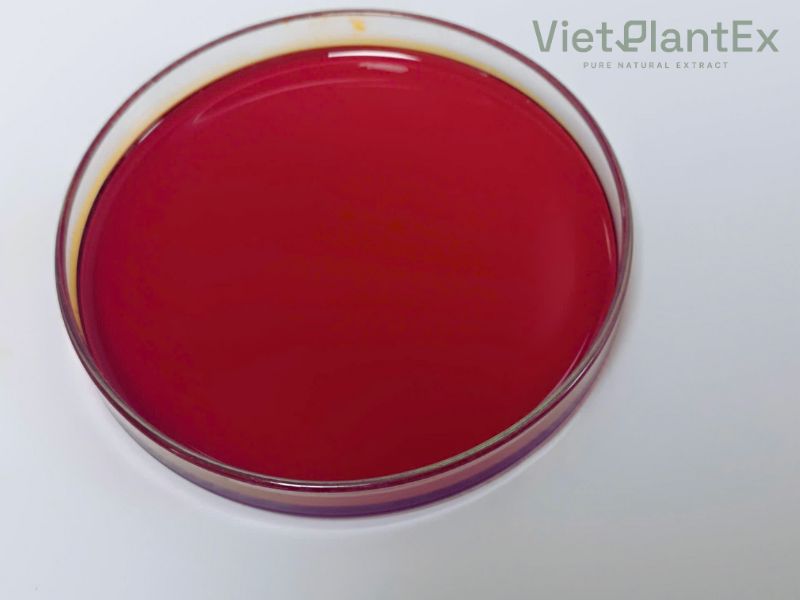 Cách làm dầu gấc