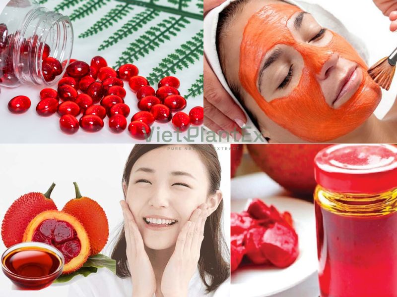 Cách làm dầu gấc