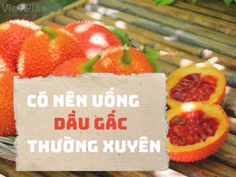 Có nên uống dầu gấc thường xuyên