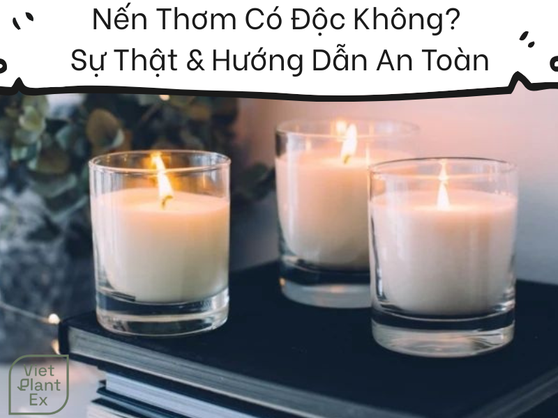 Nến Thơm Có Độc Không