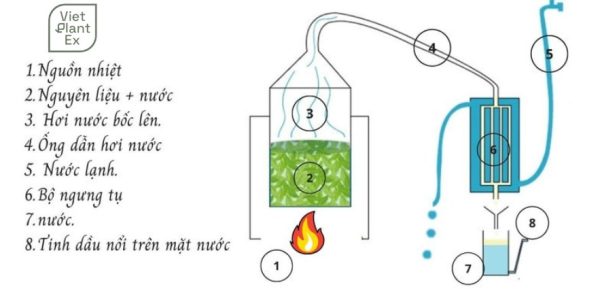 Phương pháp chưng cất hơi nước là gì? Nguyên lý và đặc điểm Chưng cất bằng hơi nước
