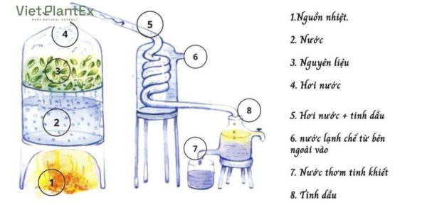 Phương pháp chưng cất hơi nước là gì? Nguyên lý và đặc điểm Chưng cất bằng nước và hơi nước