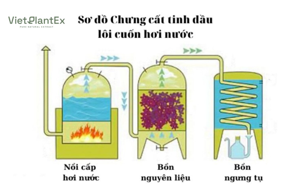 Phương pháp chưng cất tinh dầu lôi cuốn hơi nước