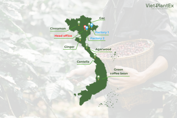 Home Thiet ke chua co ten 8